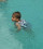 natación para bebés -  Alicante